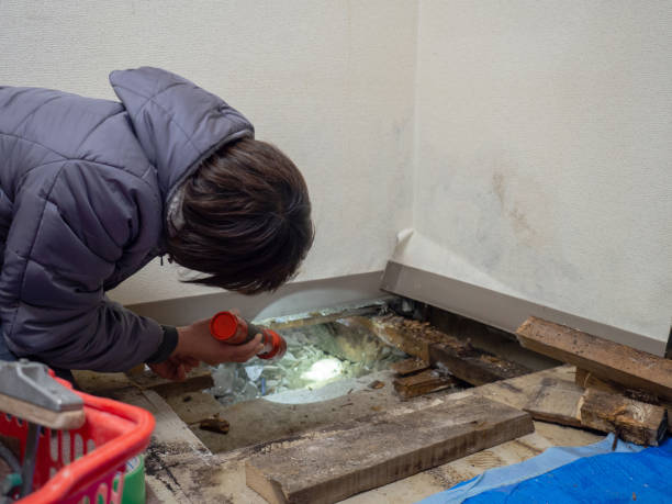 Best Biohazard Mold Removal  in Lipscom, AL