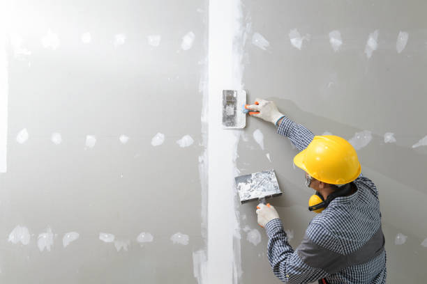 Best Attic Mold Removal  in Lipscom, AL