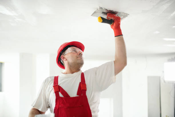 Best Mold Odor Removal Services  in Lipscom, AL