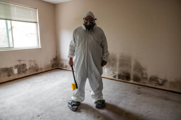 Mold Removal for HVAC Installations in Lipscom, AL